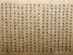 -四川大学博物馆