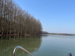 -上海海湾国家森林公园