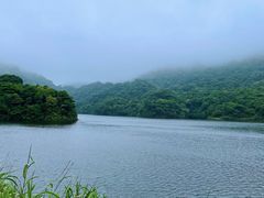 -广州市石门国家森林公园