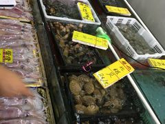 -鸿达渔港