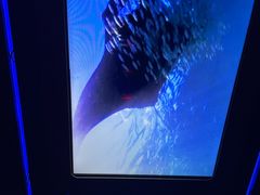 -海洋公园海洋列车－海滨站