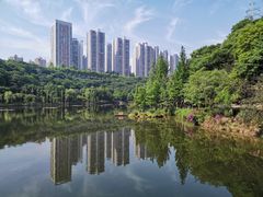 -重庆彩云湖湿地公园