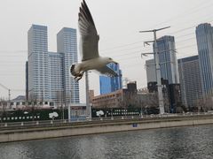 -马栏河运动公园