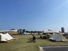 -春花秋色城市公园