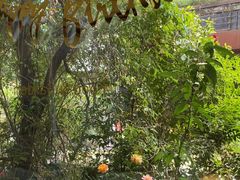 -春树下·树屋花房西餐厅(罍街AS1980店)