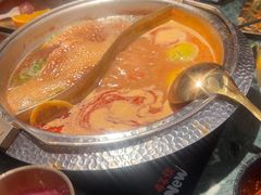 -牛New寿喜烧(金鹰世界店)