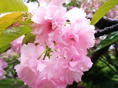 -三品香·江浙菜(松江九谊店)