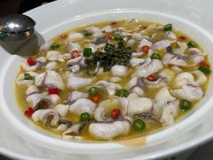 -青花椒花椒鱼(合生汇店)