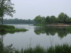 -东郊湿地公园