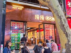 -阳阳老火锅(小南门店)