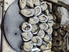 -板桥海鲜广场(文明东店)