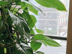 -忆家一宴(大木桥路旗舰店)