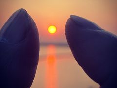 -贡湖湾湿地公园