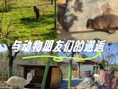 -佛冈森波拉度假区