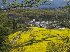 -塔川景区