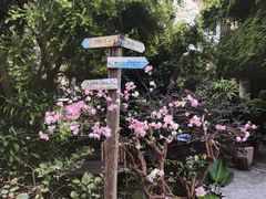 -南丫岛