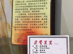 -游龙石文化科普馆