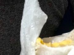 芋泥蛋黄大福-早安巴黎(四季坊店)
