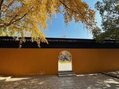 -西园戒幢律寺