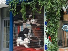 -猫咪博物馆(顶澳仔猫街店)