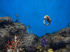 -福州罗源湾海洋世界旅游区