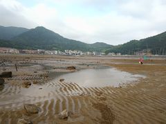 -小皓村