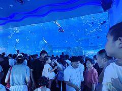 -石家庄极地海洋世界