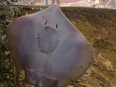 -南昌融创海世界