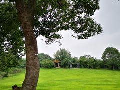 -雨花胜境