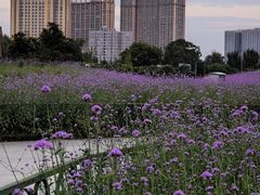 -成都欢乐谷