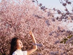 -白水寺森林公园