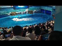 -多彩贵州城极地海洋世界