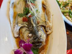 -新兴园饺子馆(河南街店)