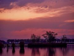 -野鸭湖国家湿地公园