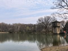 -紫霞湖公园