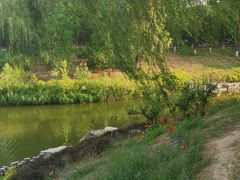 -大兴滨河森林公园