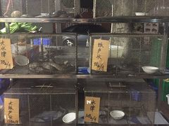 -祈胜邨•顺德鱼生•顺德菜(容桂店)