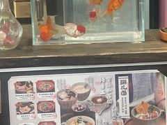 -老地方猫儿面(磁器口店)