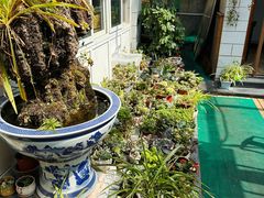 -静莲斋(仙人洞店)