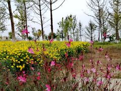 -汉长安城未央宫国家考古遗址公园