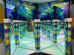 -天津梵高星空艺术馆(天河城旗舰店)