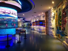 -金钉子远古世界景区