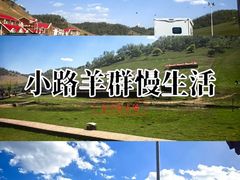 -关山草原