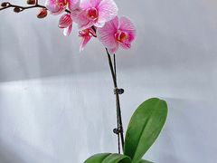 -花点时间(蓝色港湾店)