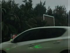 -源海渔村·现捞海鲜(大角湾店)