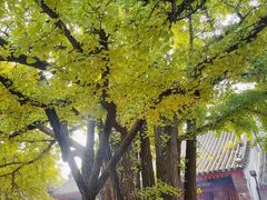 -红螺寺