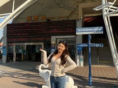 -澳门环岛游湾仔码头