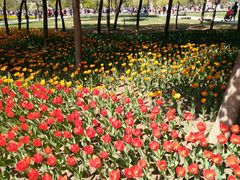 -长春公园(普阳街道)