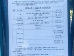 -重庆睡佛山森林公园