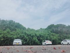-胜华驾校·小猫学车(银都店)